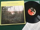 BONNIE 'PRINCE' BILLY s/t SELF RELEASED 2013 LP HARD TO FIND + INSERT