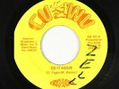 70s Soul Funk 45 - Deep Heat - Do It Again - Cu-Wu - mp3