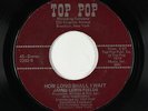 Funk/Sweet Soul 45 - James Lewis Fields - How Long Shall I Wait - Top Pop - VG+