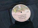VAN DER GRAAF GENERATOR - H to He Who Am The Only One G/F UK LP**STUNNING MINT*#