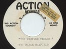 Rare Pop Song Poem Acetate 45 - Unknown Female - The Fortune Teller - Action