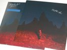 Phoebe Bridgers - Punisher SIGNED/AUTOGRAPHED Blue/Green Swirl Vinyl/Record LP