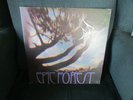 RARE BIRD-Epic Forest ORIGINAL UK Gatefold DeLUXE Import with EP