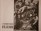 Void ?– Condensed Flesh DC Punk Dischord, Faith, Minor Threat, Misfits, KBD