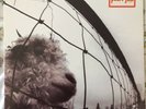 PEARL JAM - VS. ORIGINAL 1993 EPIC EUROPE VINYL LP. 474549 1. NM
