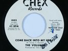 R&B Doo Wop 45 VOLUMES Come Back into My Heart CHEX VG++ promo HEAR