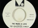 Enchanted Forest 