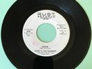 Randy & The Rainbows Denise Promo 45-Rust
