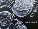 THE SUNDAYS - Reading,Writing And Arithmetic-  LP 1990 UK 1ST PRESS Rough 148