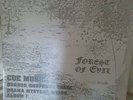 Music de Wolfe 'Forest fo Evil' LP 3385 Rare Vinyl 1978