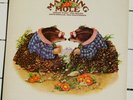 Matching Mole - Matching Mole - LP  near mint