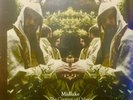 MIDLAKE - THE COURAGE OF OTHERS (2020) NEW GREEN VINYL LP. Love Record Stores