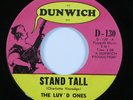 Garage Girl Group 45 THE LUV'D ONES Stand Tall DUNWICH HEAR