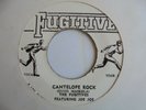THE FUGITIVES  Cantelope Rock + The Lecture FUGITIVE  Rocksteady Reggae 7