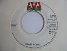 Grass Roots MICRON Inst Organ Reggae 7