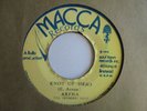 ARENA Knot Up Head MACCA Grail    Roots Reggae 7