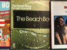 Beach Boys Spirit of America High Water Pet Sounds Vinyl 7 Record Lot