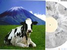 PINK FLOYD – IN JAPAN - RARE LP SPLASH COLORED VINYL not TMOQ