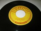 ELVIS PRESLEY LINDA RONSTADT LOVE ME TENDER 45 7