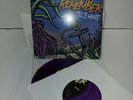 A Day To Remember All I Want New Color Vinyl LP Single untested purple