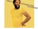 Roy / Ubiquity Ayers Everybody Loves The Sunshine (40th Anniversary) Vinyl LP NE