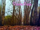 Twink - Think Pink / Sound of Silk (Double Coloured Vinyl, NEW & SEALED) LP