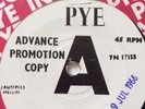 The Blue Chips,Tell Her/ Good Lovin Never Hurt,DEMO,N. Mint,Mod,Freakbeat,