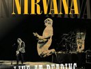 Nirvana Live At Reading 2 LP Vinyl Double 180G nevermind inscesticide in utero
