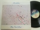 ROEDELIUS Flieg' Vogel GERMAN SYNTH AVANT-GARDE LP SKY 1982 NM CLUSTER Krautrock