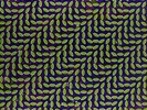 Animal Collective-Merriweather Post Pavilion VINYL NEW