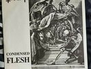 Void - Condensed Flesh Demo 7