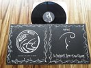 Antisect ?– In Darkness, There Is No Choice - Orig UK 1984 Spiderleg LP EX