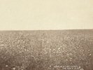 The Milk Carton Kids - Ash & Clay