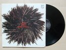 no wave no funk  Lizzy Mercier Descloux   Mambo Nassau  LP vinile NM vinyl 1981