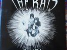 THE RATS*THE RISE AND FALL OF BERNIE GRIPPLESTONE...*BEAT*MOD*TENTH PLANET