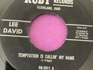 Northern Soul 45 Lee David-Temptation Is Calling My Name-Ruby 70s Reissue