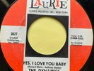 Northern Soul 45 The Dynamics-Yes I Love You Baby-Laurie 70s Reissue