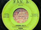 1966 Robin and the Three Hoods “I Wanna Do It” 45 on Fan, Jr. • WI rock