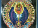 Rolling Thunder LP /Mickey Hart of the Grateful Dead / 1st pressing