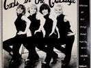 GIRLS IN THE GARAGE: Vol 2  Romulan Compilation The Blue Orchids Vinyl LP