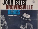 SLEEPY JOHN ESTES: Brownsville Blues US Delmark DS-613 Country Blues LP NM Vinyl