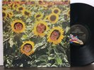 The Sunnyboys Individuals OG on Mushroom Go-Betweens US SALES ONLY