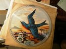 VOGUE PICTURE RECORD R 753  WAY DOWN YONDER IN NEW ORLEANS Clyde McCoy ORch 78