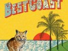 BEST COAST-CRAZY FOR YOU (US IMPORT) VINYL LP NEW