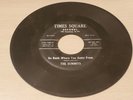 The Summits Go Back Where You Came From Times Square Stomp 45 RPM Record - AS IS