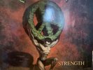 Enuff Z'nuff, Strength -90s Hair Rock, Power Pop Vinyl LP  Back To The Early 90s