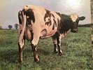 Orig Pink Floyd Atom Heart Mother USA Vinyl LP Near Mint