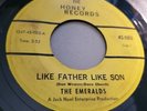 Mega RARE Garage 45 EMERALDS Like Father Like Son NE HONEY VG