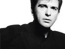 Peter Gabriel - So - NEW SEALED 180g LP w/ download code - Big Time, Sledgehamme