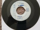 The Frantics - Werewolf - Psychobilly Surf Rock 1960 Dolton No.13 VG